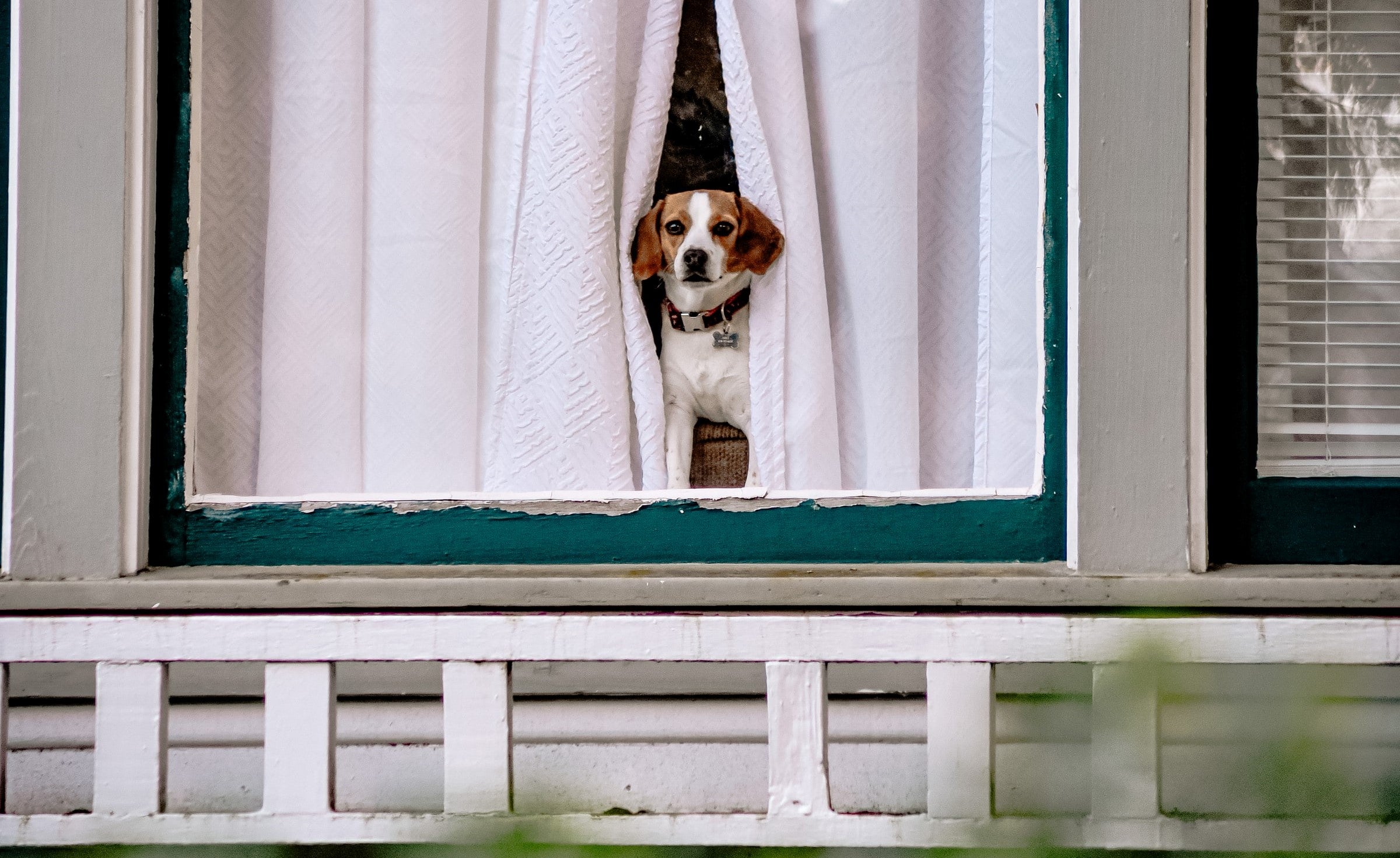 Use Google Inspect URL API with Python to Inspect URLs in Bulk – SEO ...